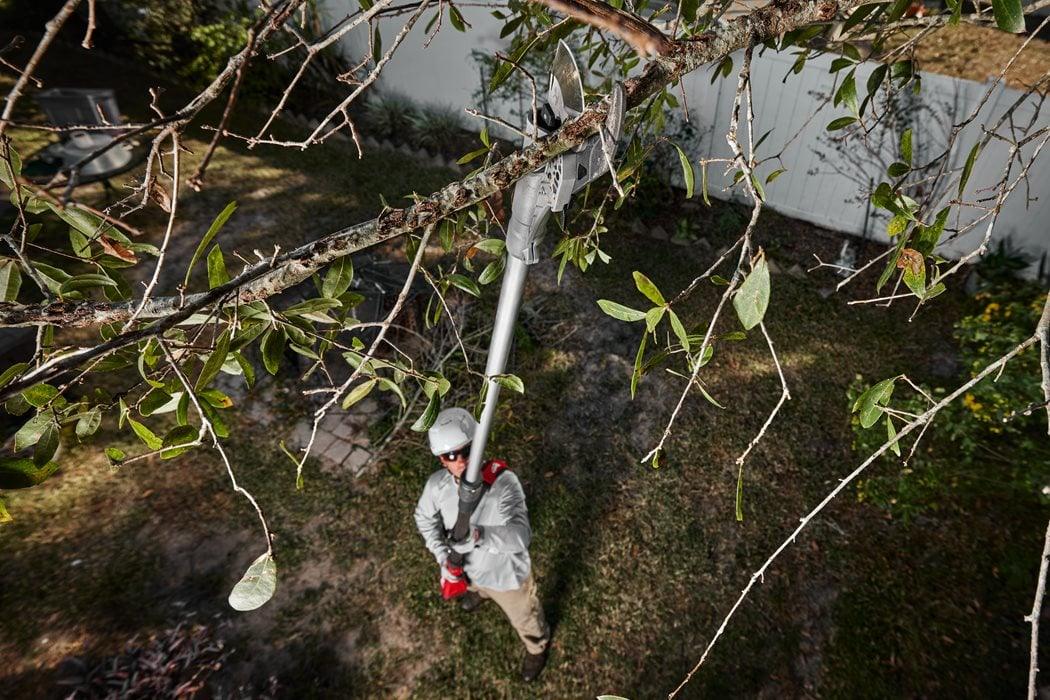 Foarfecă telescopică 300 cm M18 FUEL™ Milwaukee M18 BLTS-551, 1 x acumulator M18 HB5.5, 1 x încărcător M12-18 FC, fără cutie, cod 4933480866 + CADOU: cană termică PACKOUT™ 591ML 4932479074 + Ochelari 4932478764 - BIG STORE (Dynamic Tools SRL)