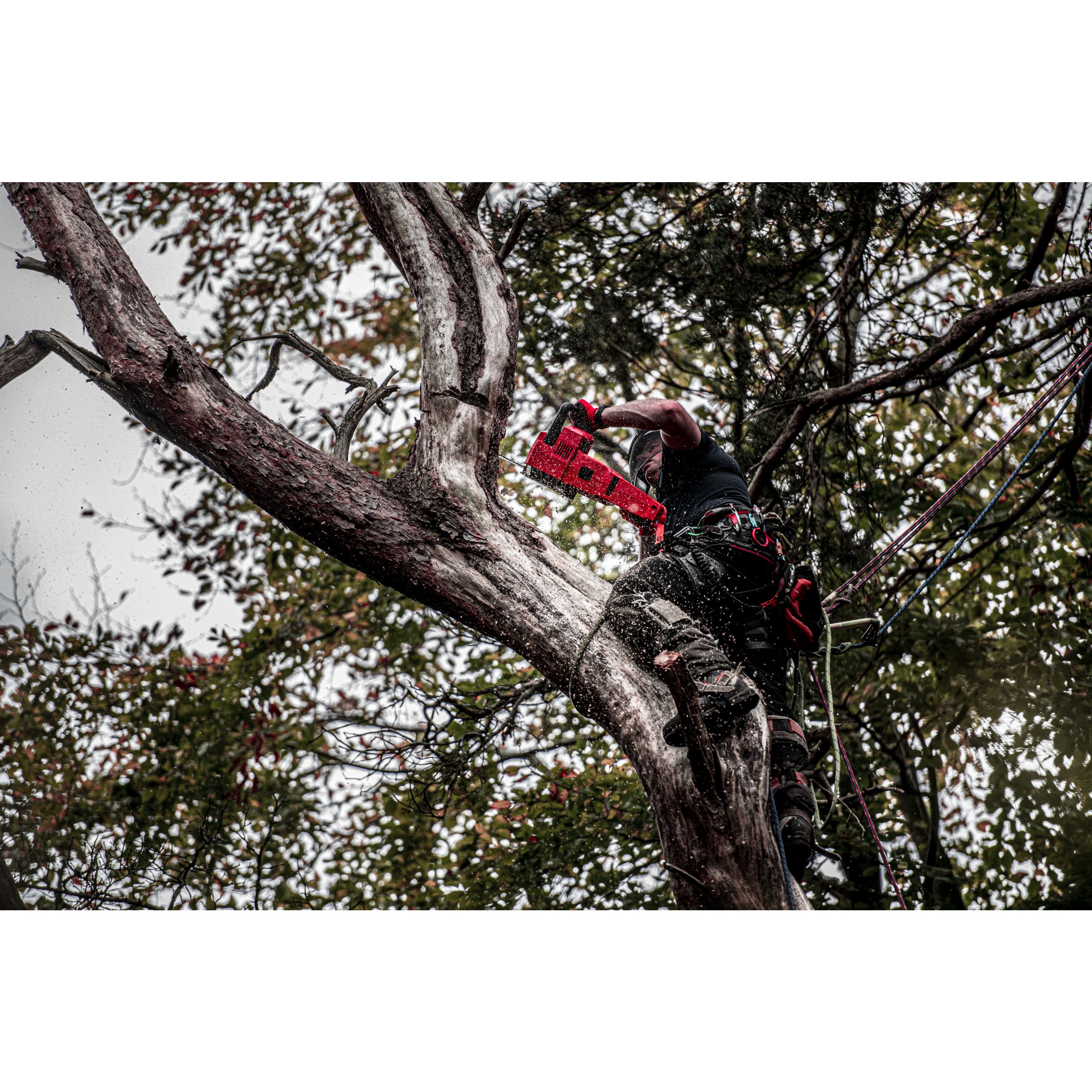 Fierăstrău cu lanț 40 cm Milwaukee M18 FCHS-122 FUEL™, cod 4933499217