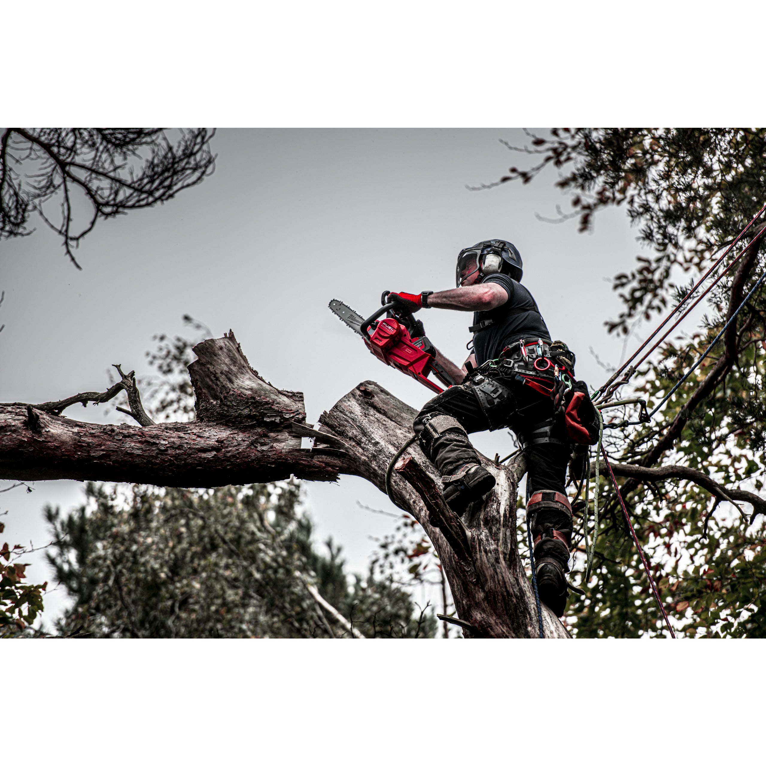 Fierăstrău cu lanț 40 cm Milwaukee M18 FCHS-122 FUEL™, cod 4933499217
