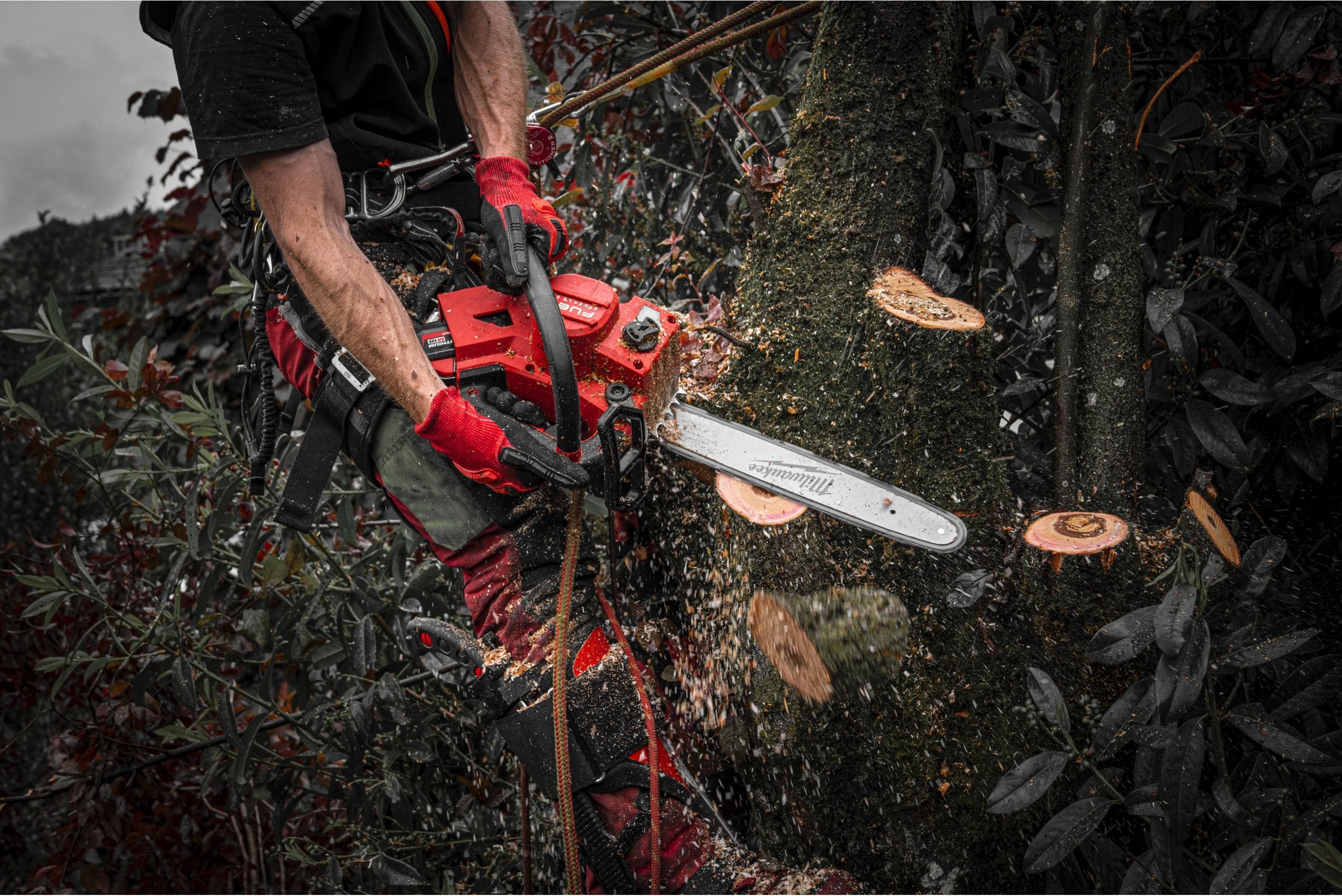 Fierăstrău cu lanț Milwaukee M18 FTHCHS30 FUEL™ TOP HANDLE, șină 30 cm, pas lanț .325"