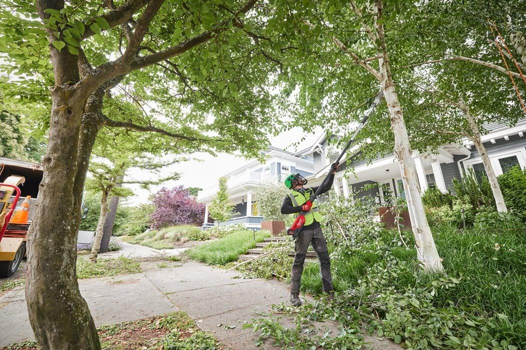 Fierăstrău telescopic cu lanț 30 cm M18 FUEL™ Milwaukee M18 FTPS30-0, cod 4933480868, fără acumulator, fără încărcător, fără cutie + CADOU: ochelari 4932478764 + lanț de rezervă Stihl - BIG STORE (Dynamic Tools SRL)