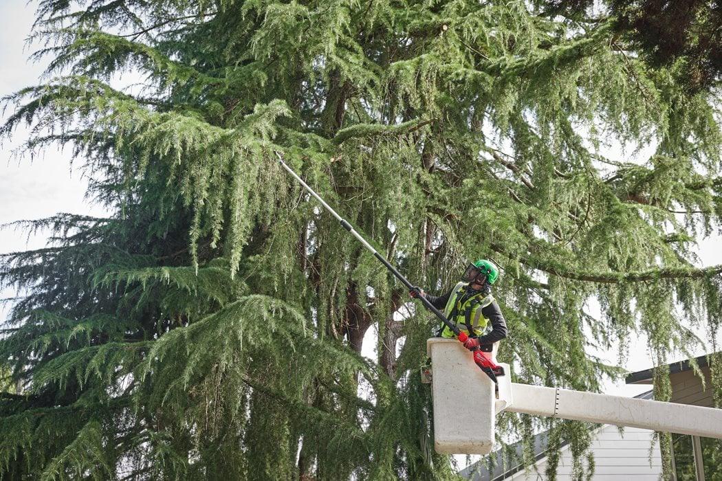 Fierăstrău telescopic cu lanț 30 cm M18 FUEL™ Milwaukee M18 FTPS30-0, cod 4933480868, fără acumulator, fără încărcător, fără cutie + CADOU: ochelari 4932478764 + lanț de rezervă Stihl - BIG STORE (Dynamic Tools SRL)