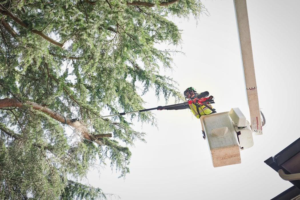 Fierăstrău telescopic cu lanț 30 cm M18 FUEL™ Milwaukee M18 FTPS30-0, cod 4933480868, fără acumulator, fără încărcător, fără cutie + CADOU: ochelari 4932478764 + lanț de rezervă Stihl - BIG STORE (Dynamic Tools SRL)