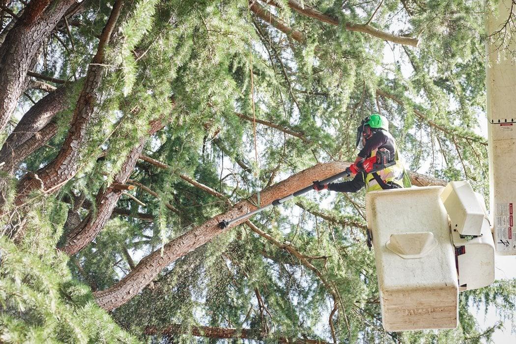 Fierăstrău telescopic cu lanț 30 cm M18 FUEL™ Milwaukee M18 FTPS30-0, cod 4933480868, fără acumulator, fără încărcător, fără cutie + CADOU: ochelari 4932478764 + lanț de rezervă Stihl - BIG STORE (Dynamic Tools SRL)