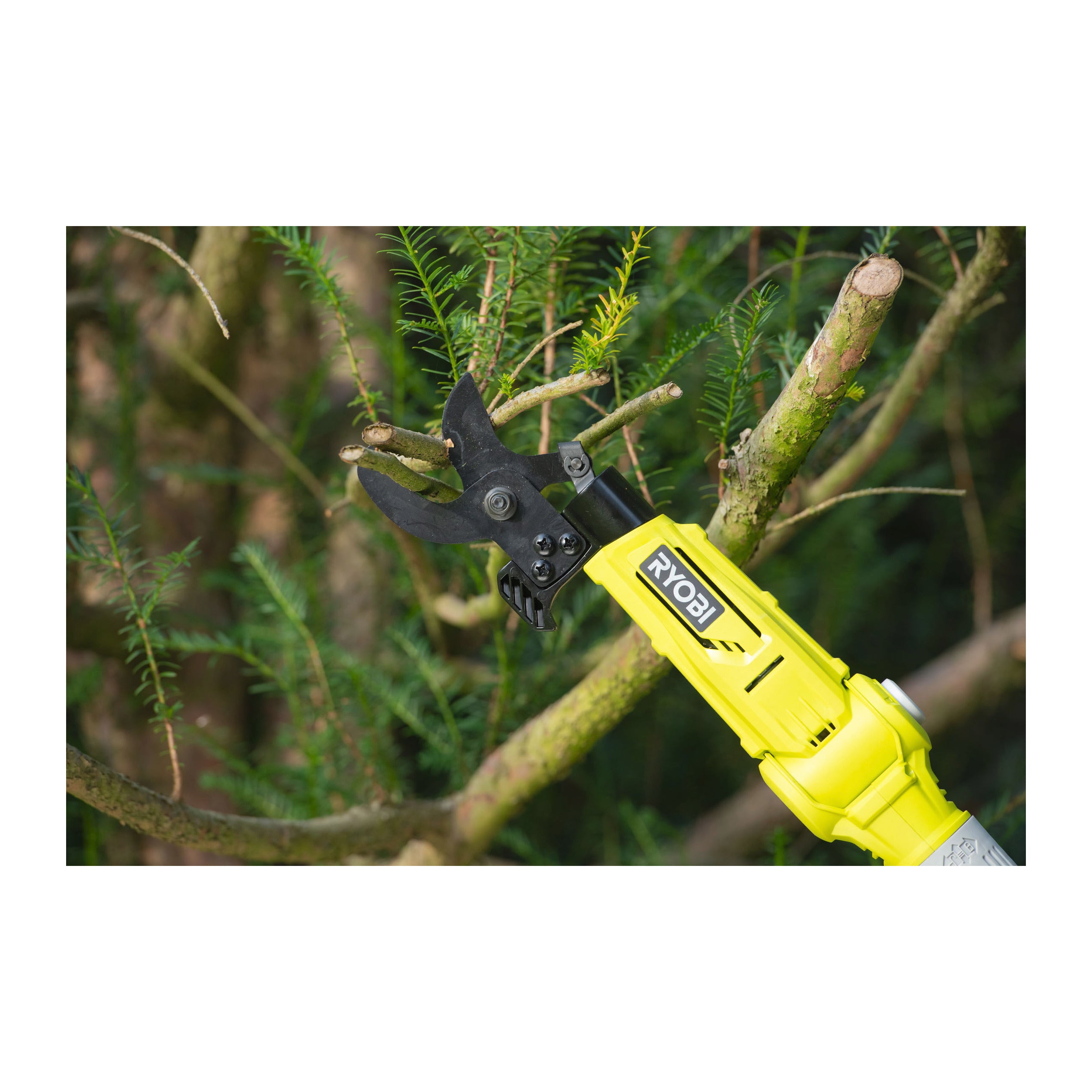 Foarfecă pentru crengi telescopică 18V ONE+™ Ryobi RY18PLA-0, cod 5133004575