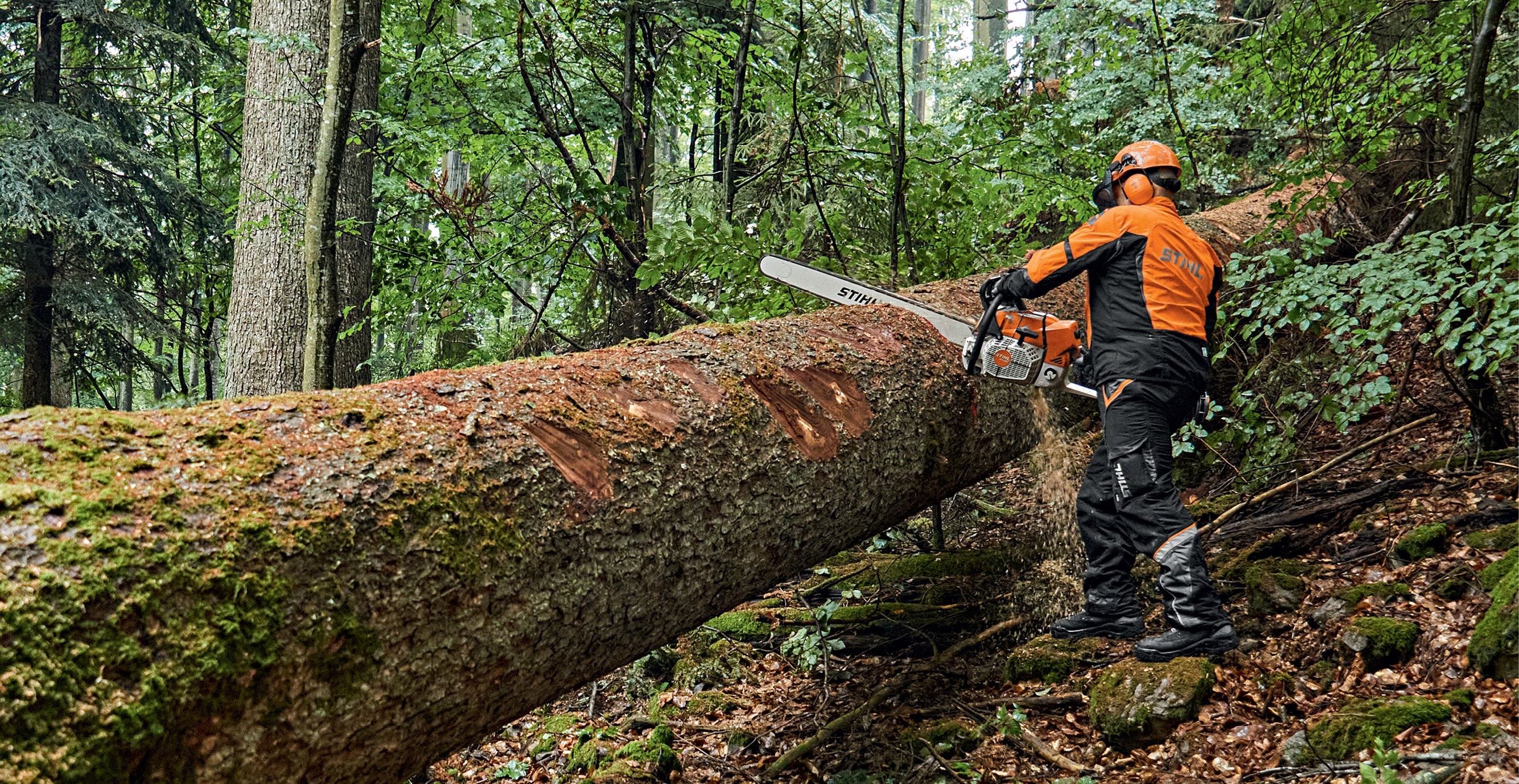 Motoferăstrău Stihl MS 881 MAGNUM, 8,7CP, 105CM, 1,6MM