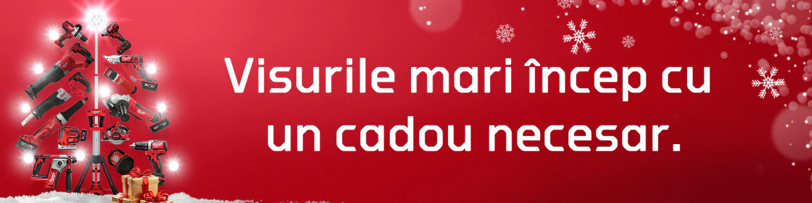 Idei de cadouri BIG 2025