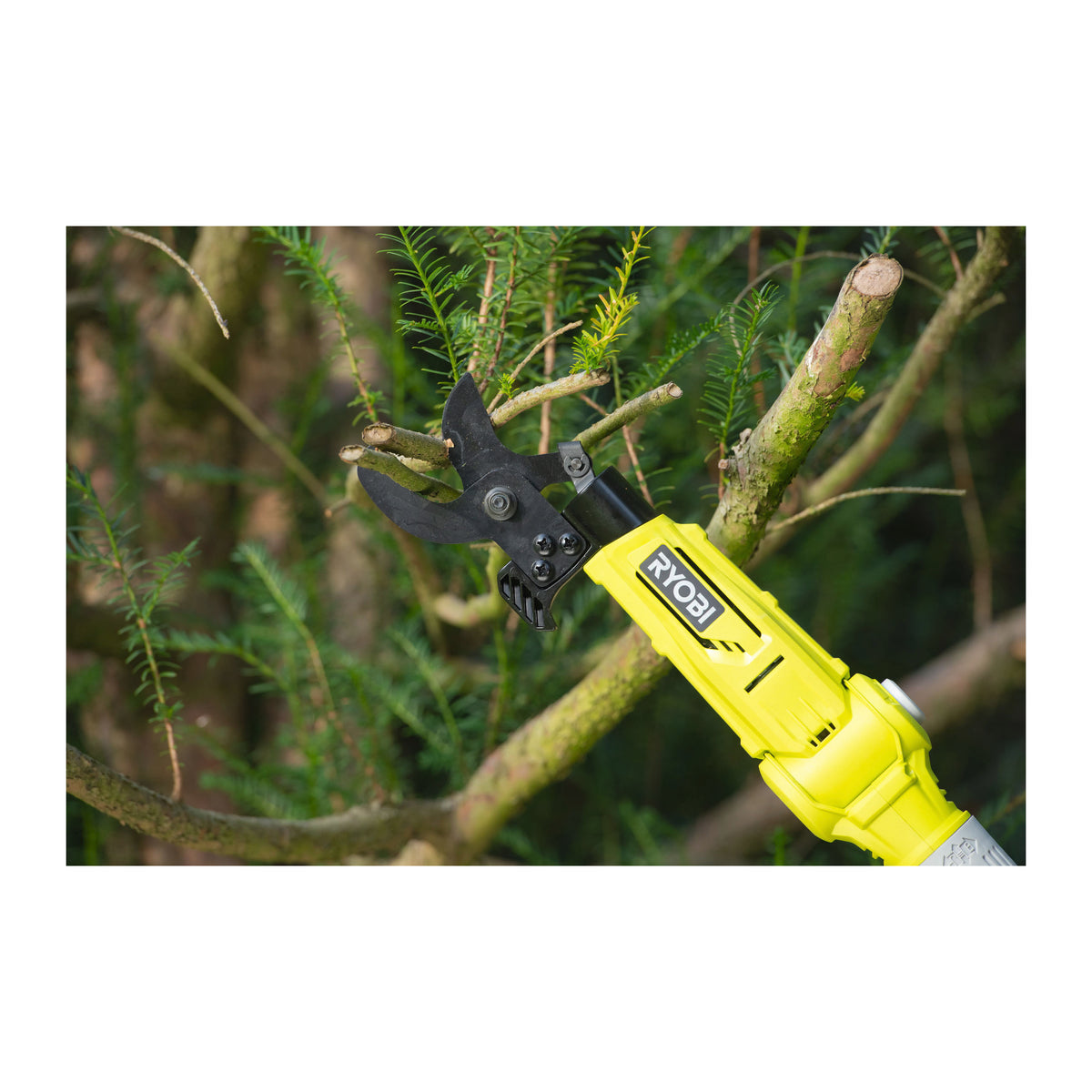 Foarfecă pentru crengi telescopică 18V ONE+™ Ryobi RY18PLA-0, cod 5133004575